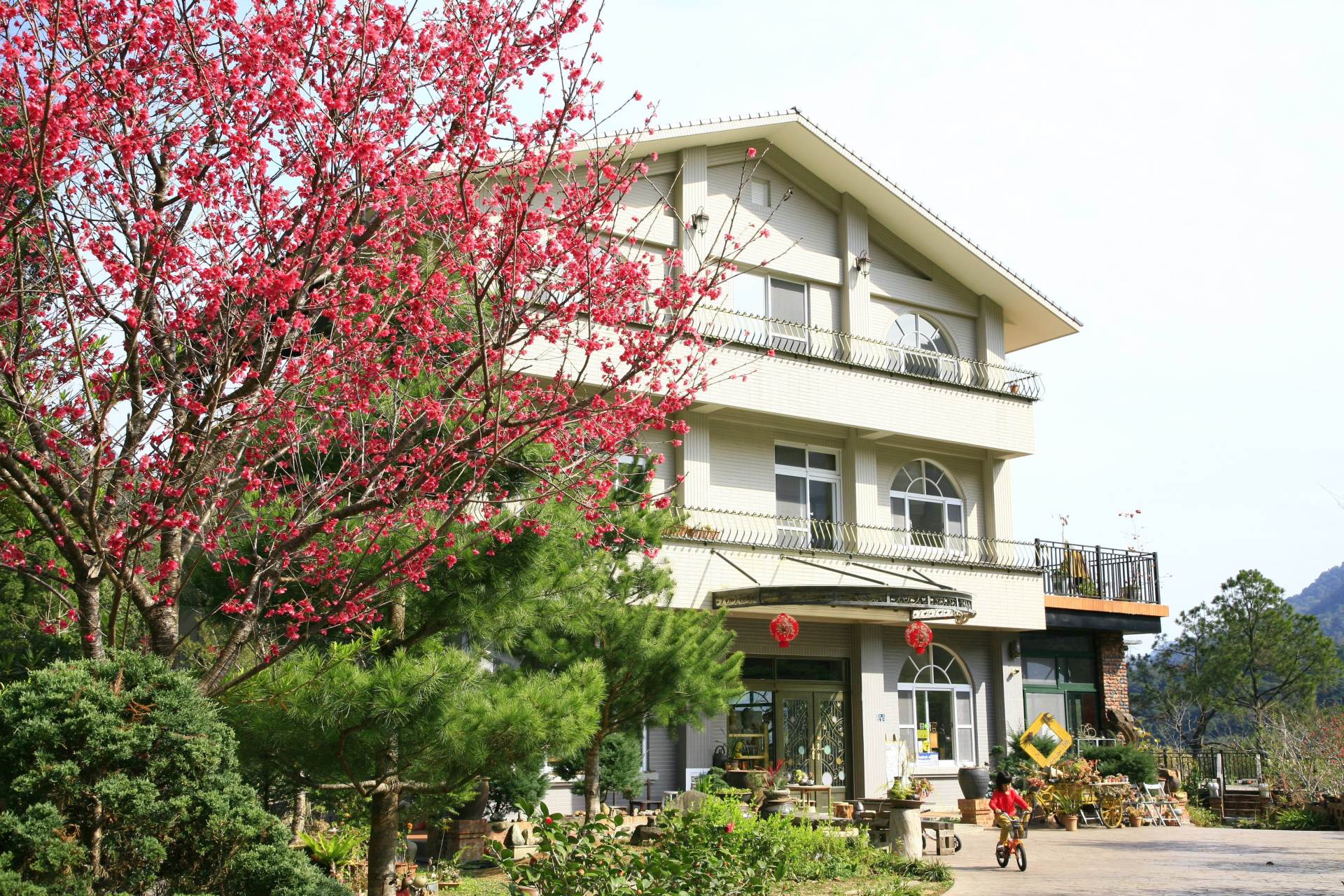 燕子陶