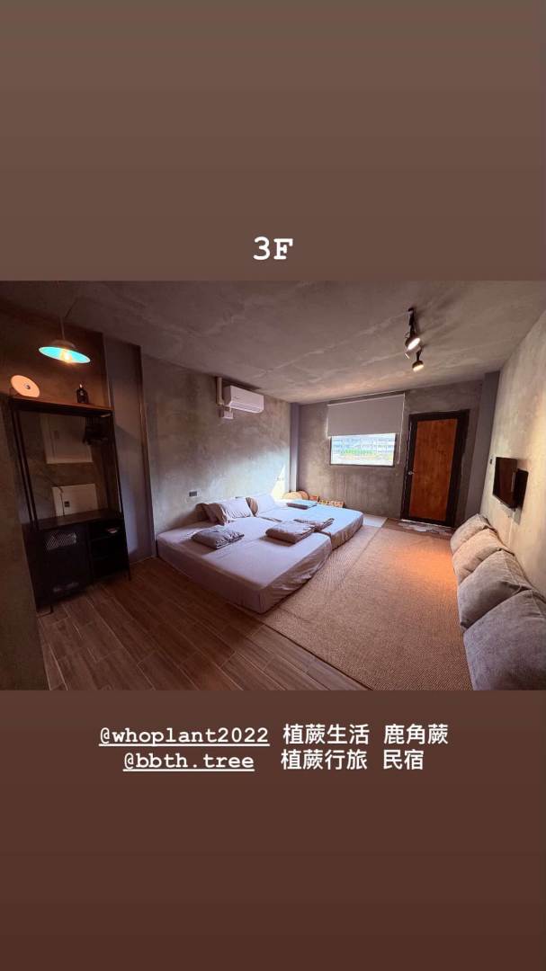 照片 3