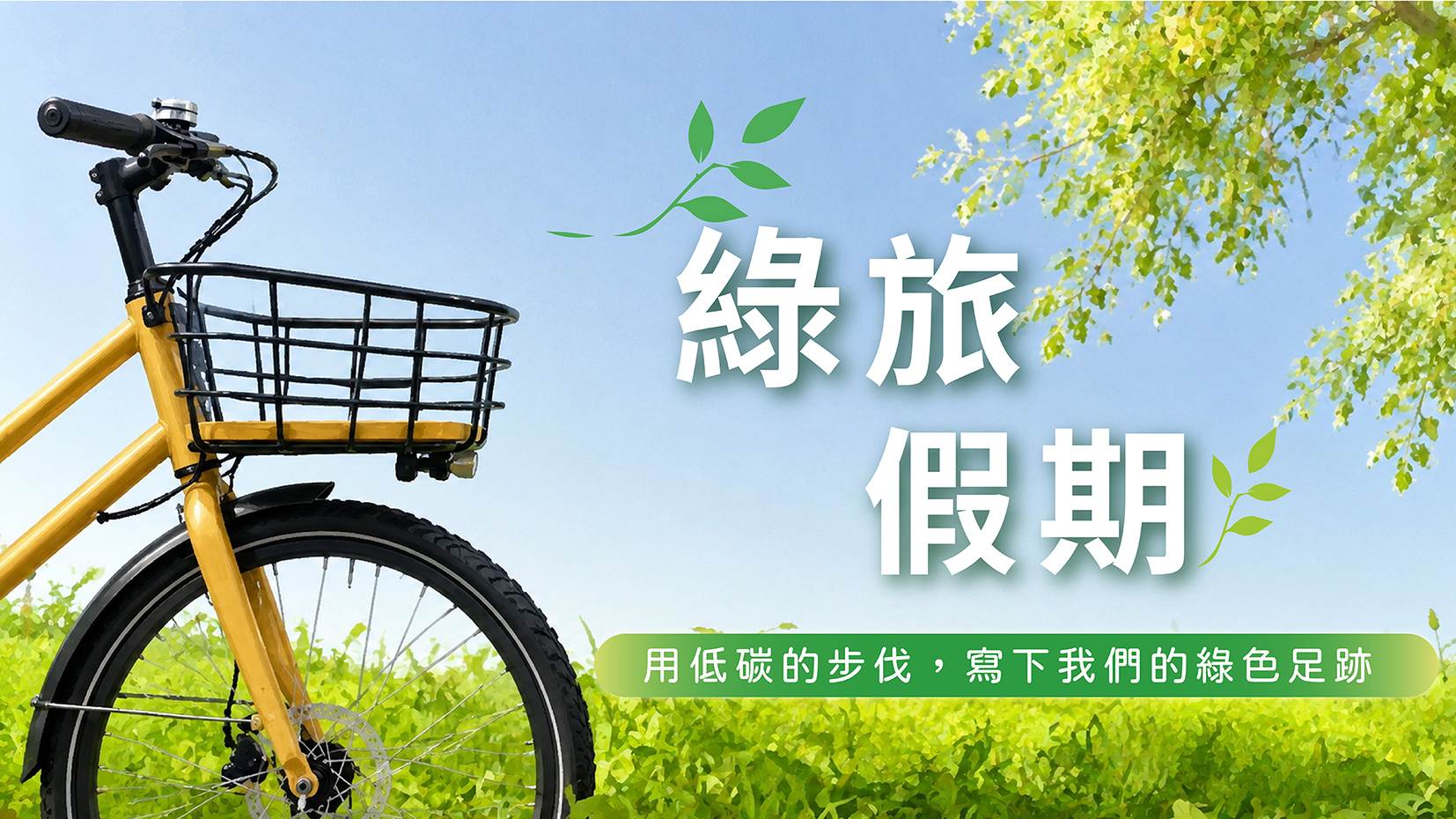 照片 2