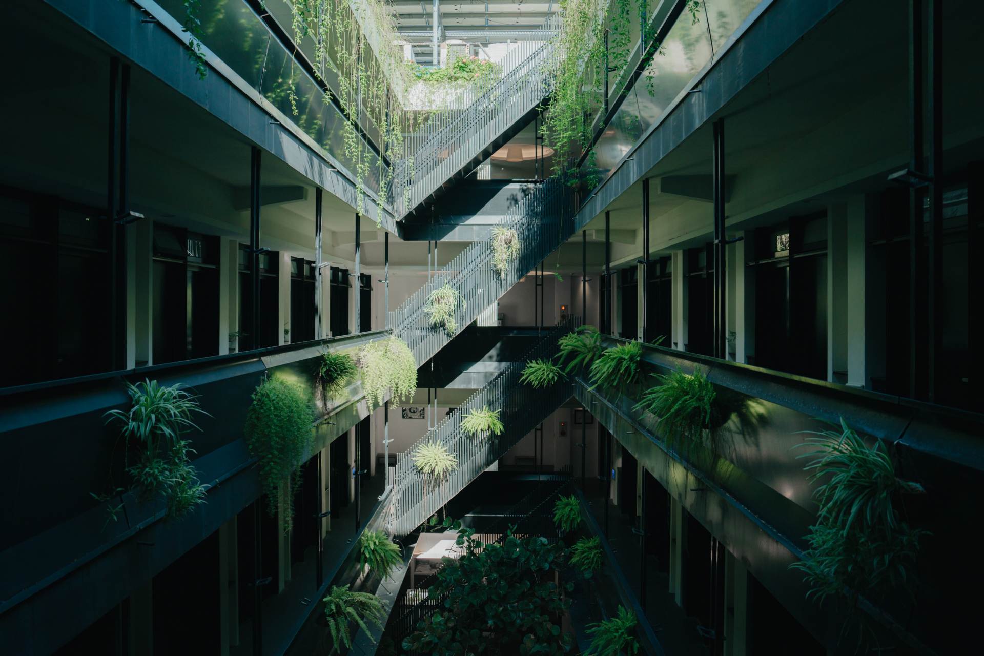 照片 2